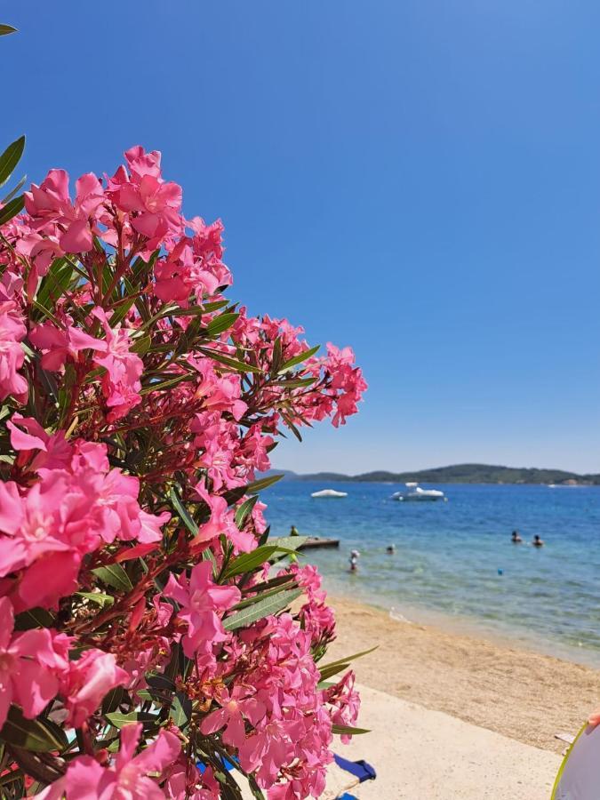 Azul Vodice Daire Dış mekan fotoğraf